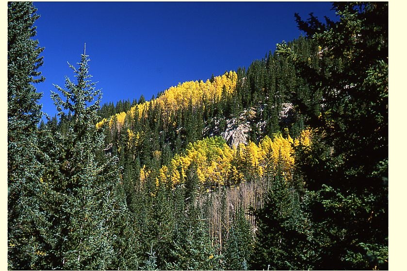 Aspen Ridge