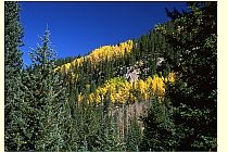 Aspen Ridge