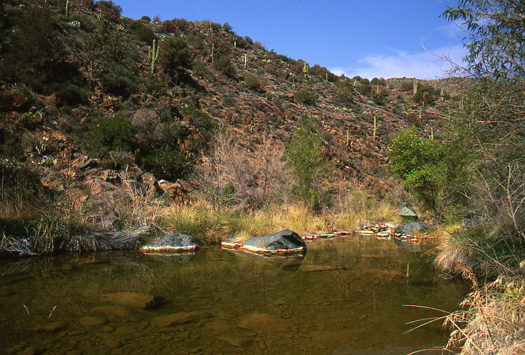 Cave Creek