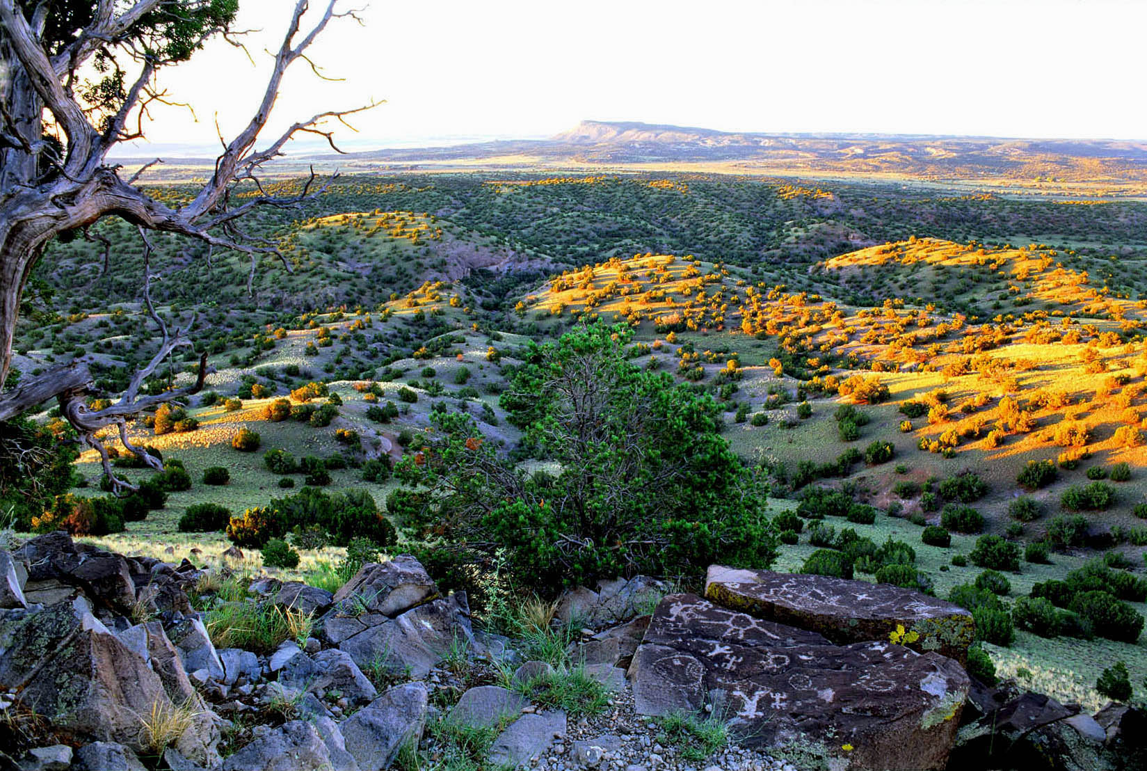 Cerro Pelon 
from Petroglyph Hill