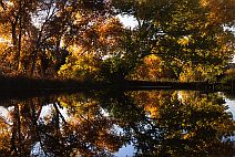 Curtin Preserve #5