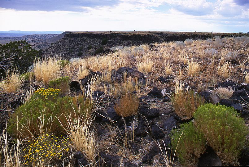 On Labajada Mesa