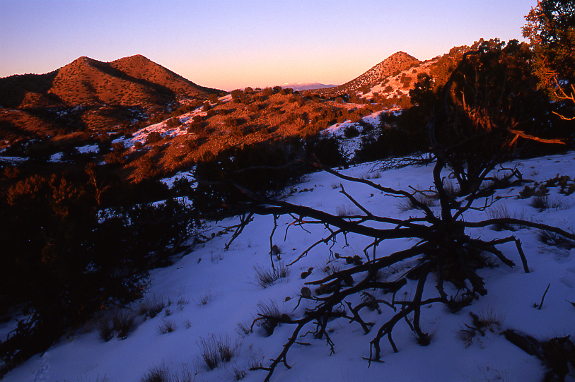 Sangre de Cristos from Cerrillos Hills State Park