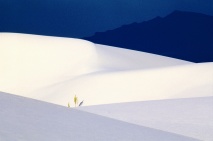 White Sands, Early Morning