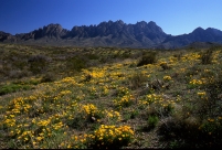 Organ Mountains