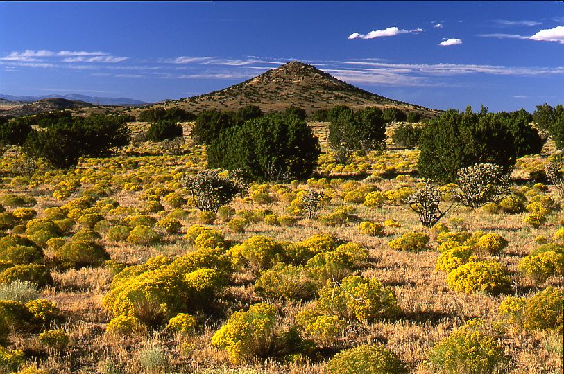 Cerro de la Cruz